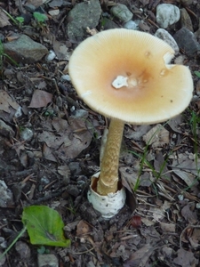 P1000353