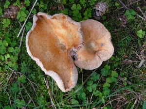 P1000344