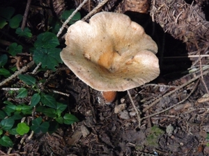 P1000336