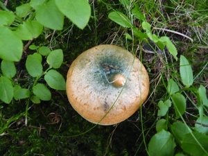 P1000322