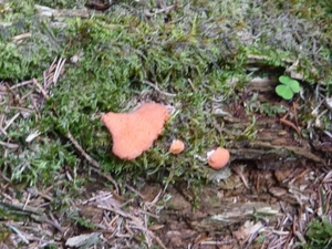P1000339