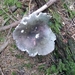 P1000311