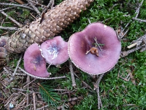 P1000295