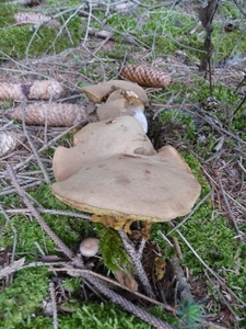 P1000309