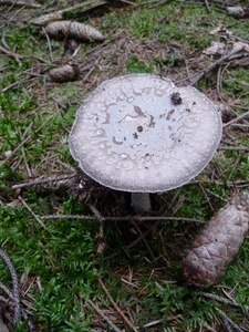 P1000297
