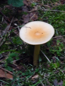 P1000267