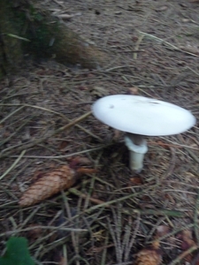 P1000259