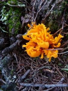 P1000288