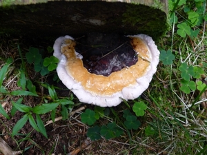 P1000289