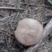 P1000261