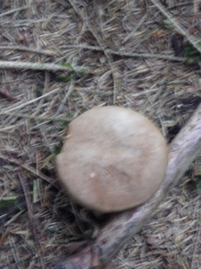 P1000261