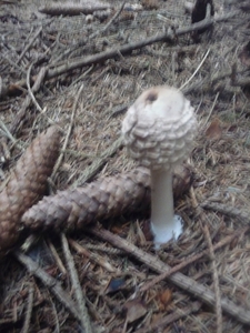 P1000236