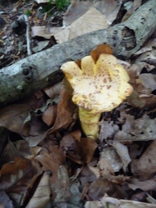 P1000228