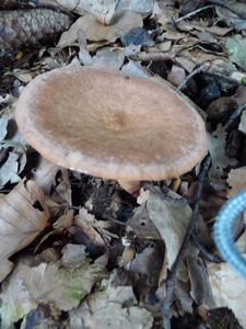 P1000229