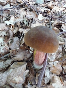 P1000223