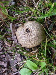 P1000233
