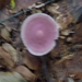 P1000178