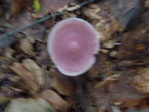 P1000178