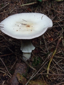 P1000141