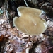 P1000180