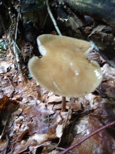 P1000180