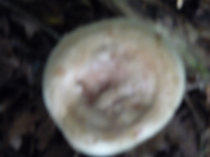 P1000214