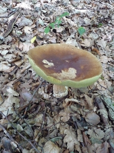 P1000224