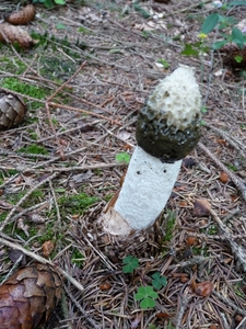 P1000217