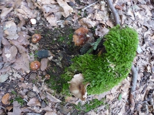 P1000207