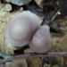 P1000208