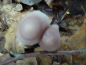 P1000208