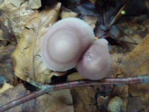 P1000210