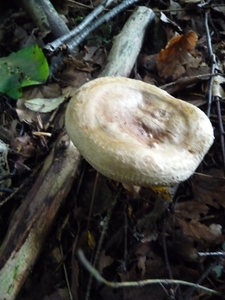 P1000213