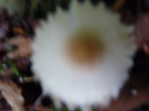P1000202