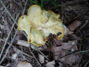 P1000190