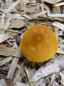 P1000192
