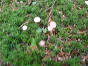 P1000187