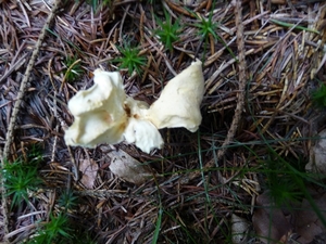 P1000189