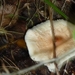 P1000172