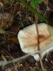 P1000172