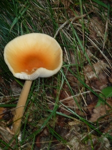 P1000174