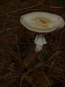 P1000087