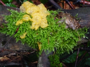 P1000127
