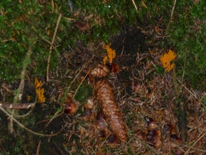P1000101