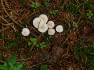 P1000092