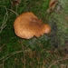 P1000097
