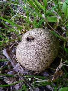P1000232