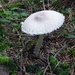 P1000266