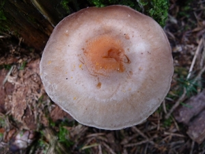 P1000299