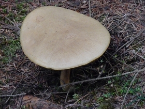 P1000312